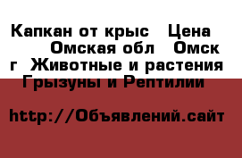 Капкан от крыс › Цена ­ 300 - Омская обл., Омск г. Животные и растения » Грызуны и Рептилии   